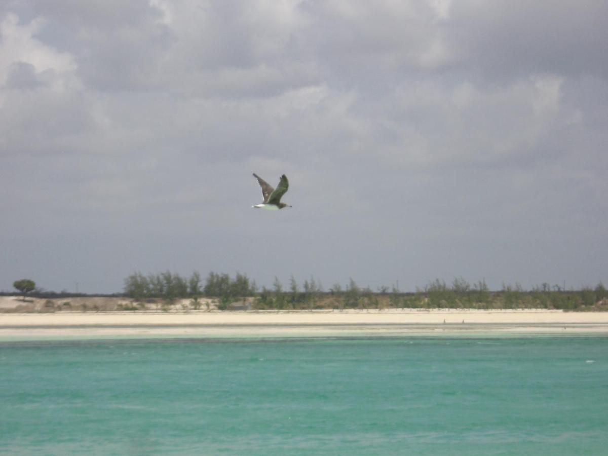 Chiky Villa Watamu Zewnętrze zdjęcie
