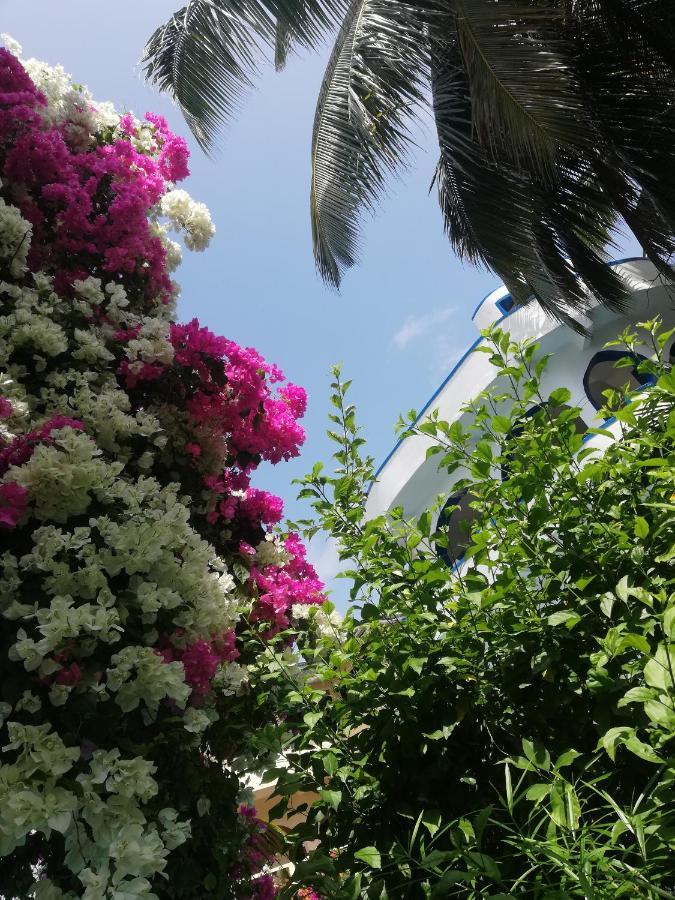 Chiky Villa Watamu Zewnętrze zdjęcie
