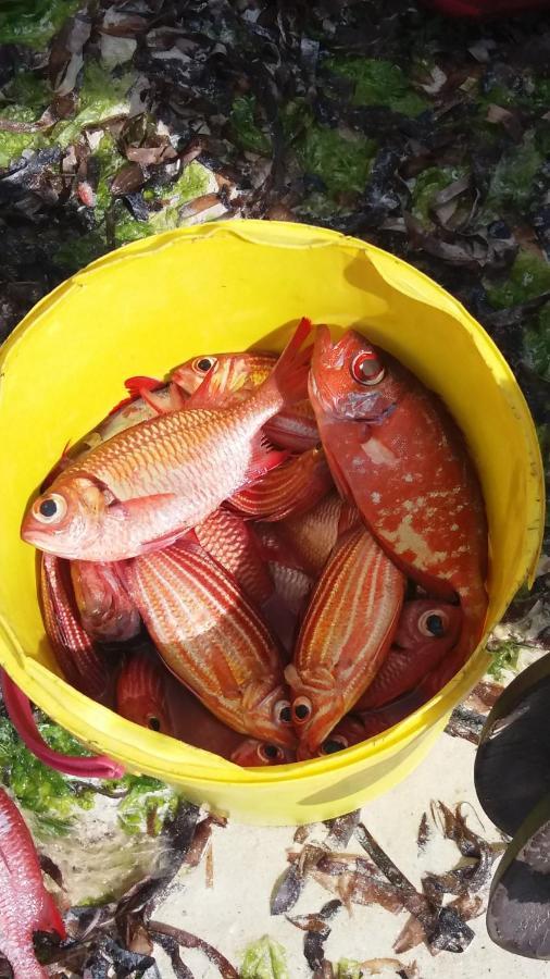 Chiky Villa Watamu Zewnętrze zdjęcie