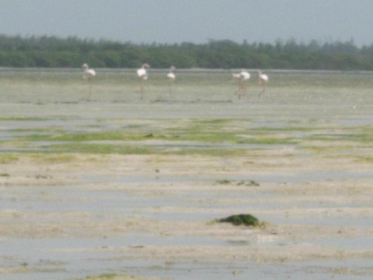 Chiky Villa Watamu Zewnętrze zdjęcie