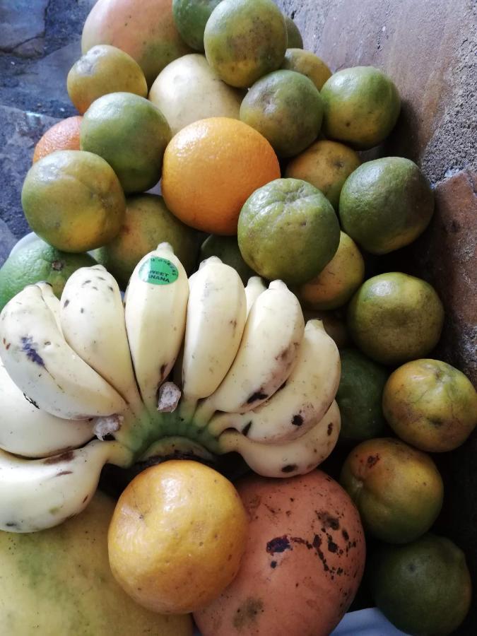 Chiky Villa Watamu Zewnętrze zdjęcie