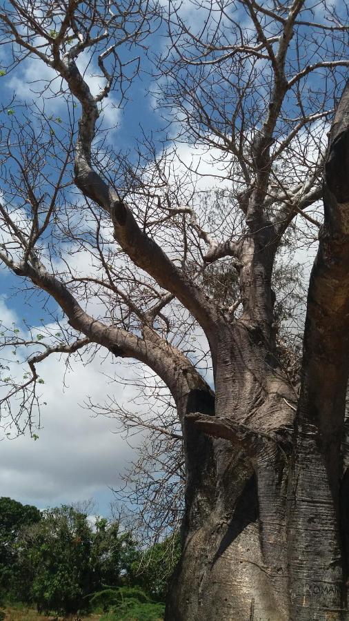 Chiky Villa Watamu Zewnętrze zdjęcie